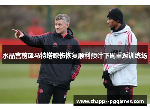 水晶宫前锋马特塔膝伤恢复顺利预计下周重返训练场