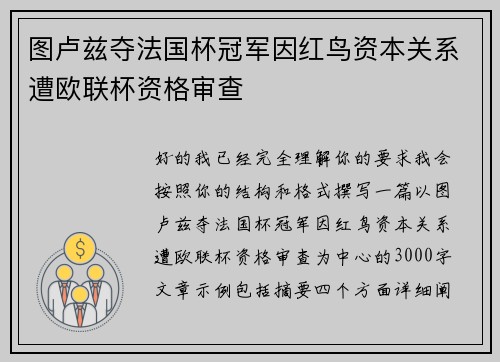 图卢兹夺法国杯冠军因红鸟资本关系遭欧联杯资格审查 图卢兹夺法国杯冠军因红鸟资本关系遭欧联杯资格审查