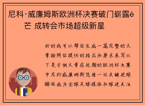 尼科·威廉姆斯欧洲杯决赛破门崭露锋芒 成转会市场超级新星 尼科·威廉姆斯欧洲杯决赛破门崭露锋芒 成转会市场超级新星